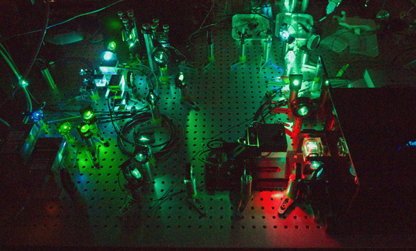 Genetisch modifizierte Zellen mit Licht zu steuern ist das Arbeitsfeld der Optogenetik (Foto: Max-Planck-Institut für Molekulare Zellbiologie und Genetik, Dresden / Michael Weber).